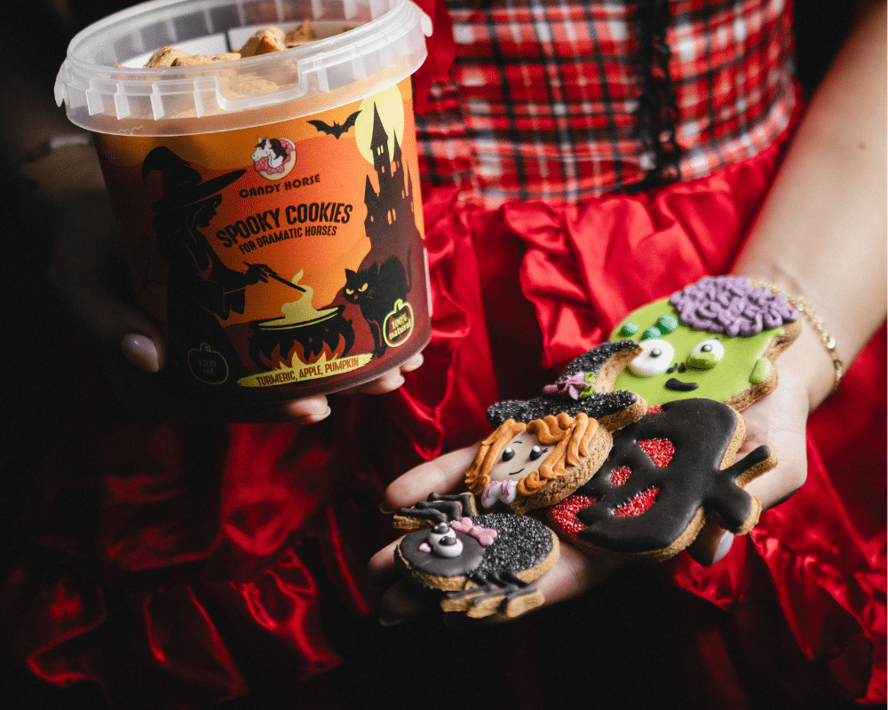 Zdjęcie w sekcji hero